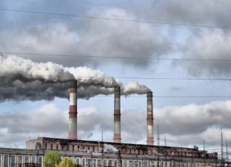 Air pollution can damage your kidneys