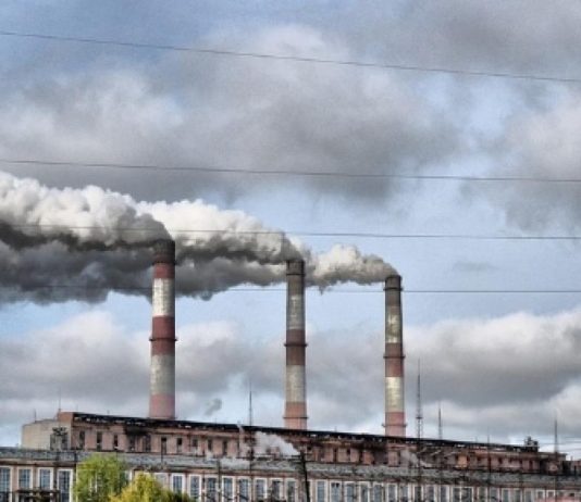 Air pollution can damage your kidneys