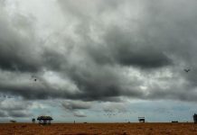 Cyclone Titli hits Odisha’s Gopalpur, over 3 lakh moved to safety