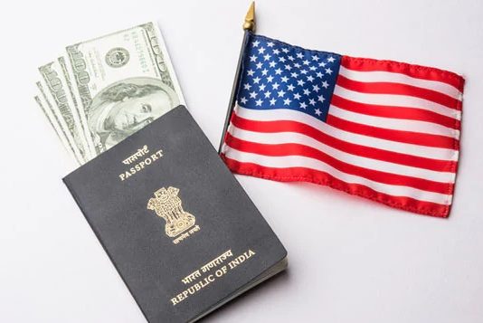 Will take public opinion on H-4 visa revocation proposal: Trump administration