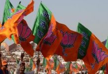 Modi wave… BJP wins 66 of 67 seats