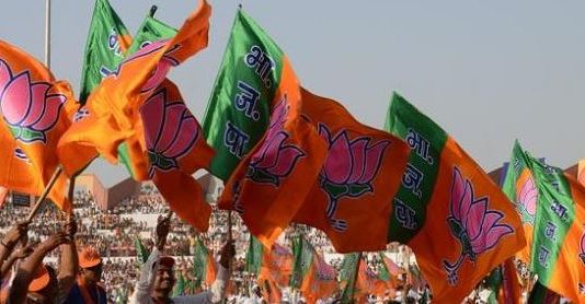 Modi wave… BJP wins 66 of 67 seats