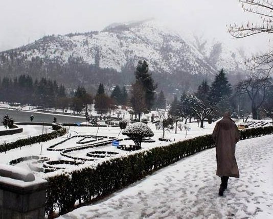 Bone-chilling cold wave returns to Kashmir Valley, Ladakh