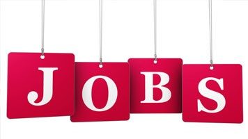 Jobs issued for graduates for 13 posts, salary will be above Rs 25,000