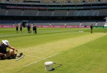 Perth pitch receives ‘average’ rating