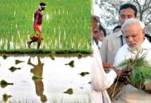 Rs 15000/ hectare + Interest FREE loans, PM Modi’s big gift for farmers !