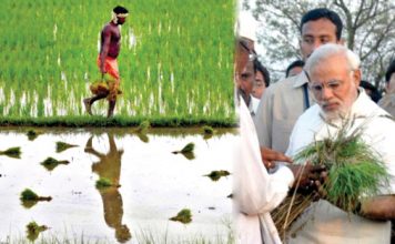 Rs 15000/ hectare + Interest FREE loans, PM Modi’s big gift for farmers !