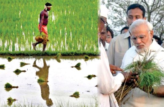 Rs 15000/ hectare + Interest FREE loans, PM Modi’s big gift for farmers !