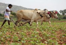 Farmers to get Rs 2000 cash in March