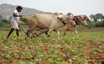 Farmers to get Rs 2000 cash in March