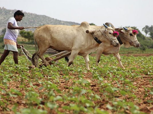Farmers to get Rs 2000 cash in March