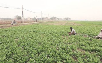 2.18 cr farmers receive Rs 2,000 under PM-KISAN scheme