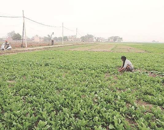 2.18 cr farmers receive Rs 2,000 under PM-KISAN scheme