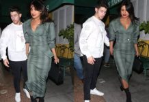 Nick, Priyanka in no hurry to have kids