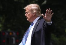 No more ‘Green Cards’ in US!