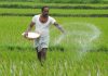 Farmers to contribute Rs 100 per month under PM-Kisan Pension Yojna