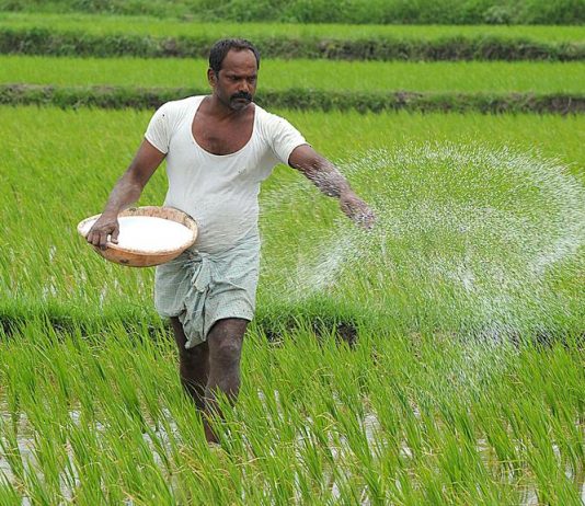 Farmers to contribute Rs 100 per month under PM-Kisan Pension Yojna