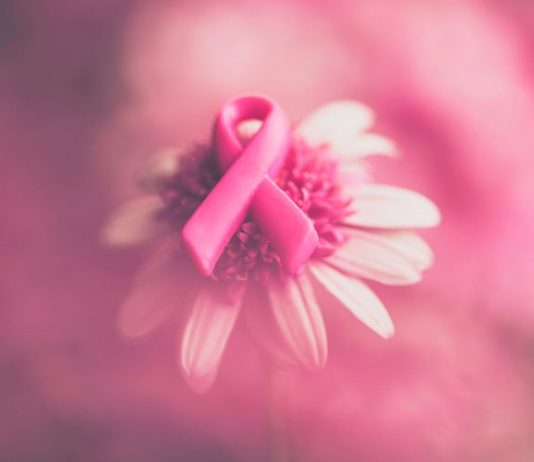Red meat consumption may up breast cancer risk: Study