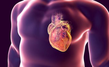 Heart disease, stroke-related deaths on rise due to obesity