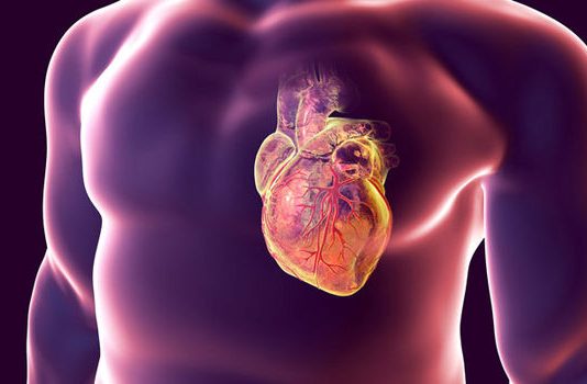 Heart disease, stroke-related deaths on rise due to obesity