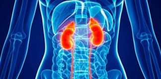 New treatment shows promise to cure kidney disease