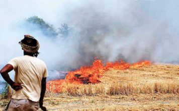 Green product launched in Punjab to counter stubble burning