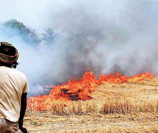 Green product launched in Punjab to counter stubble burning