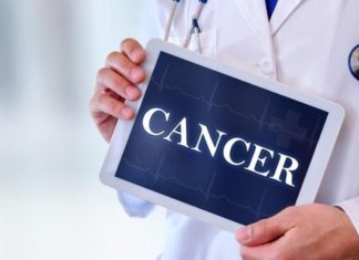 Researchers explain why cancer risk is higher in males