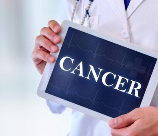 Researchers explain why cancer risk is higher in males