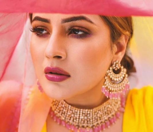 Shehnaz Gill: ‘Bigg Boss ne mujhe star bana diya’