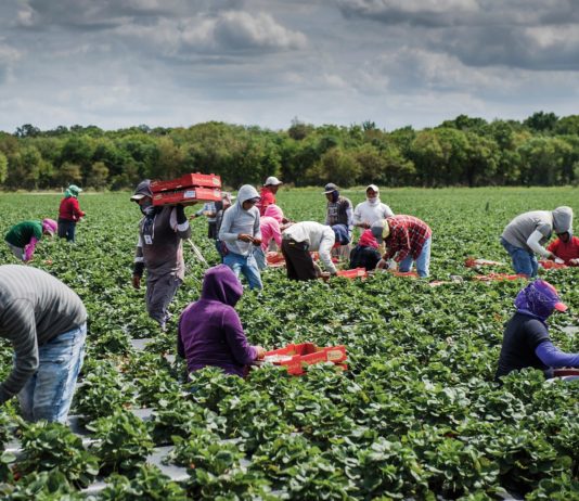 FM makes big promise to farmers, says income will double by 2022