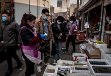 Chinese ‘wet markets’ selling bats, dogs start reopening amid coronavirus scare