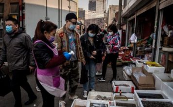 Chinese ‘wet markets’ selling bats, dogs start reopening amid coronavirus scare