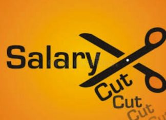 Job loss, pay cuts worry Indians the most during lockdown: Survey