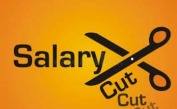 Job loss, pay cuts worry Indians the most during lockdown: Survey