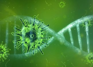 COVID-19 Pandemic intensifying … 1 lakh deaths in 15 days