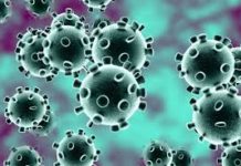 Coronavirus Pandemic: Global COVID-19 cases now over 20 lakh