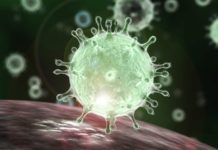 Coronavirus Pandemic: Know how COVID-19 is transmitted