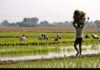 Good News for Farmers: Govt extends agriculture loan repayment date