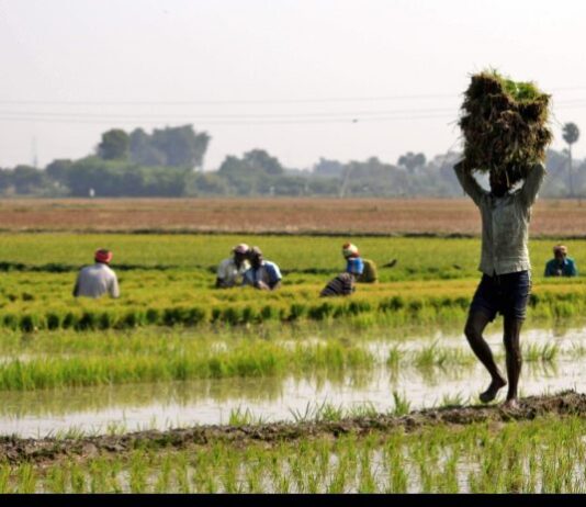 Good News for Farmers: Govt extends agriculture loan repayment date