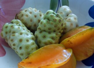 Noni juice: The health-giving drink for greater immunity