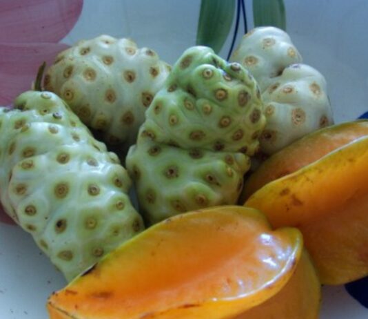 Noni juice: The health-giving drink for greater immunity