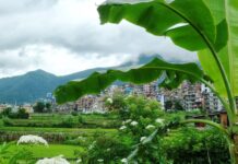 Coronavirus Crisis in Nepal: COVID-19 may push one-third of country’s population into poverty