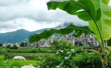 Coronavirus Crisis in Nepal: COVID-19 may push one-third of country’s population into poverty