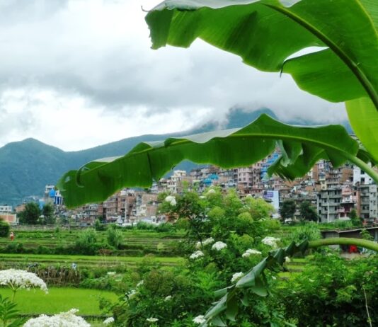 Coronavirus Crisis in Nepal: COVID-19 may push one-third of country’s population into poverty