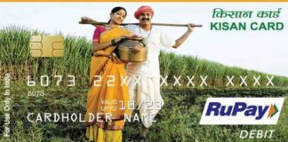 Govt adds over 40 lakh KCCs in just 24 days