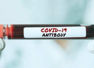 Covid-19 antibodies may provide immunity for at least 5 months: Study