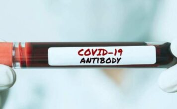 Covid-19 antibodies may provide immunity for at least 5 months: Study