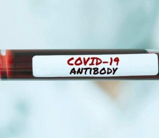 Covid-19 antibodies may provide immunity for at least 5 months: Study