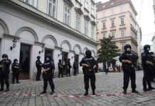 Austria: Police arrest 14 people in connection with Vienna shootings